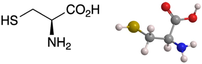 Chiral Molecule Scattering Cysteine Image