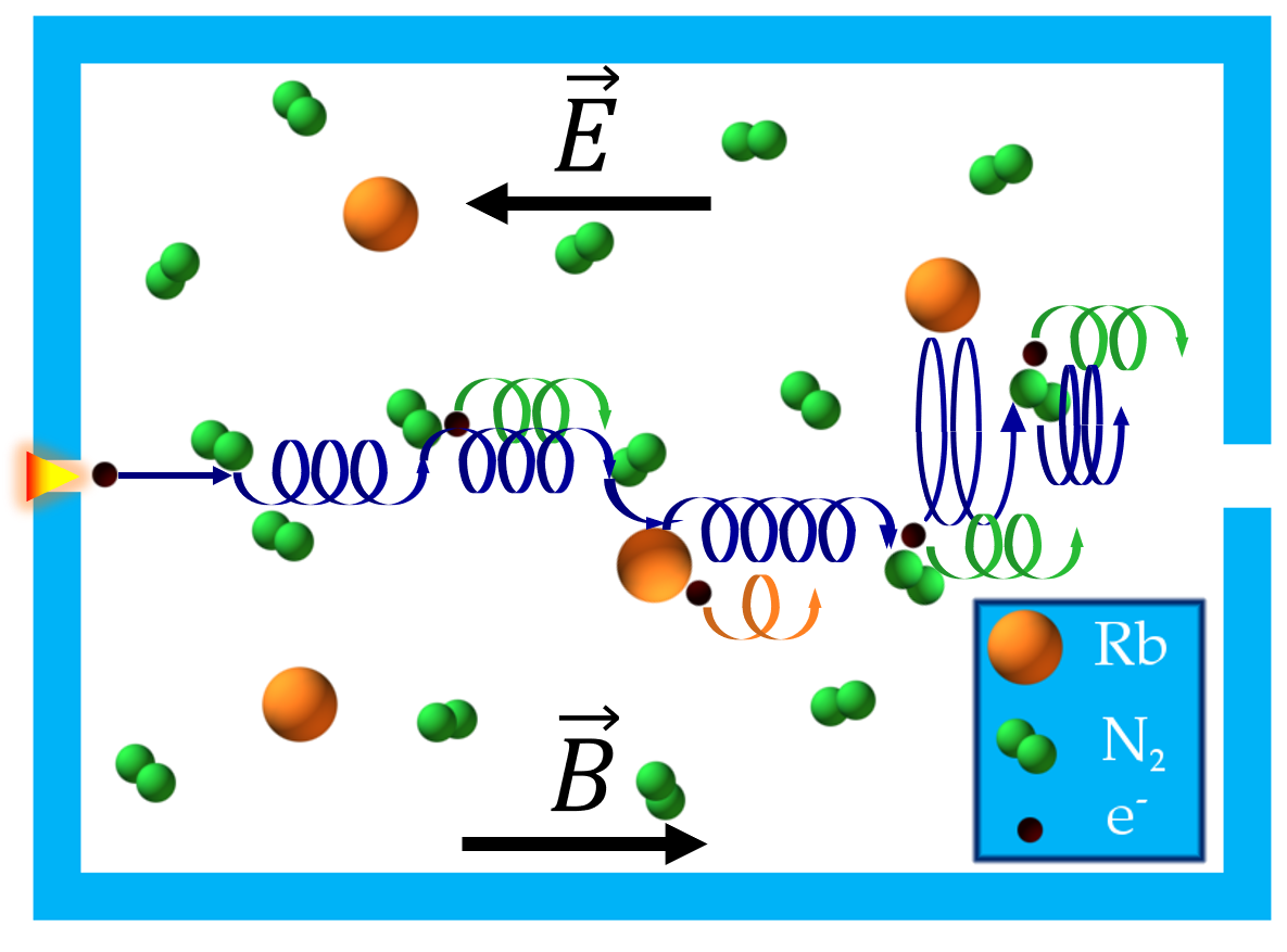 Spin interactions in the spin-exchange cell